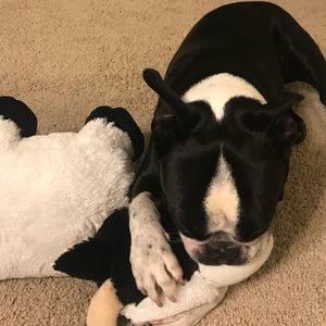 Meet your Posher, Joanna